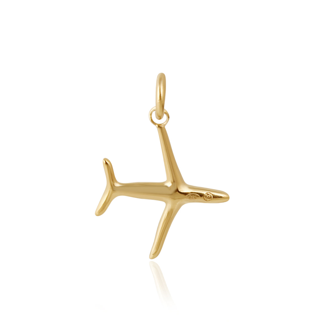 Plane Charm