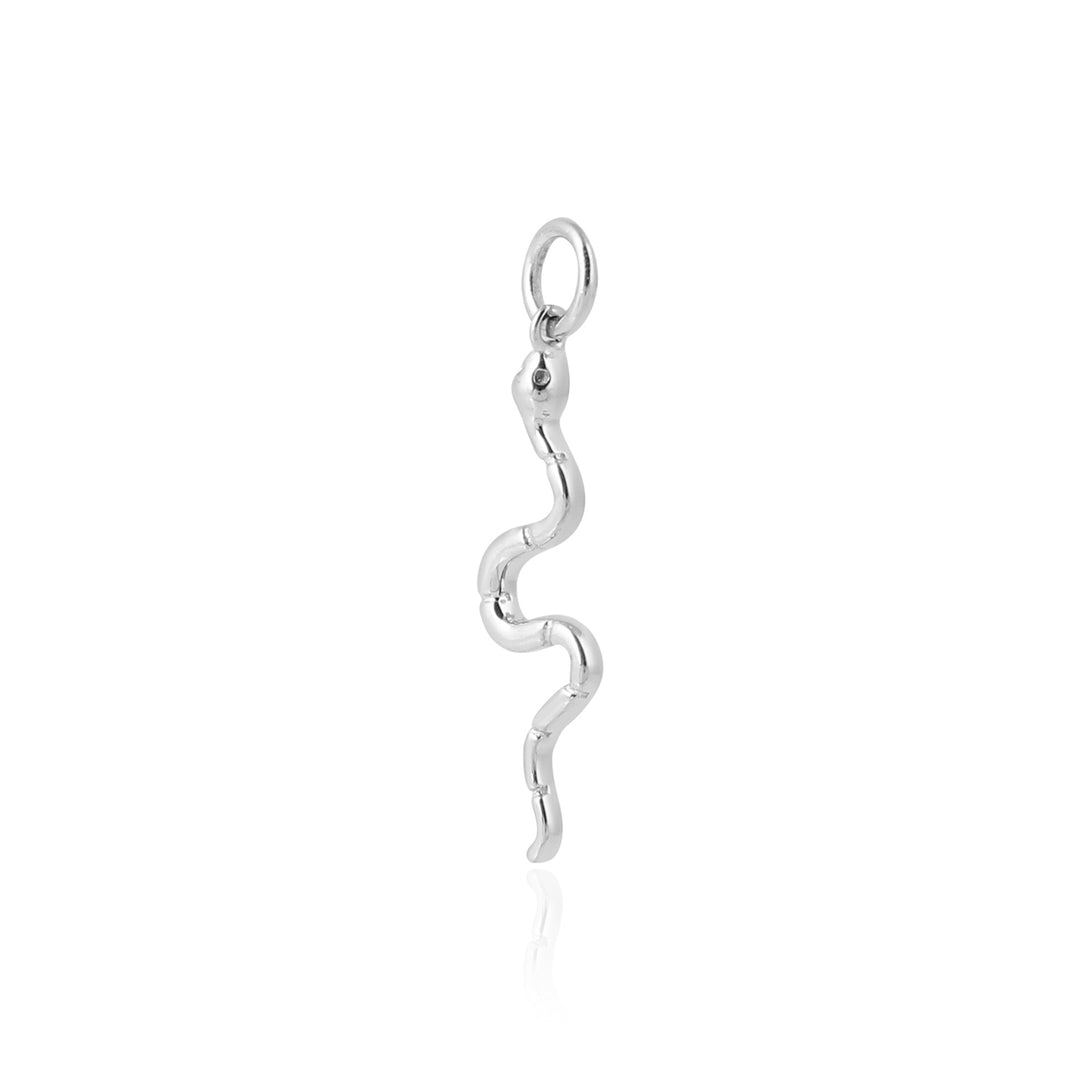 Snake Charm
