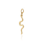 Load image into Gallery viewer, Snake Charm