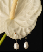 Load image into Gallery viewer, Pearl Charm Hoops Earrings