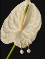 Load image into Gallery viewer, Pearl Charm Hoops Earrings