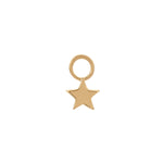 Load image into Gallery viewer, Mini Star Charm