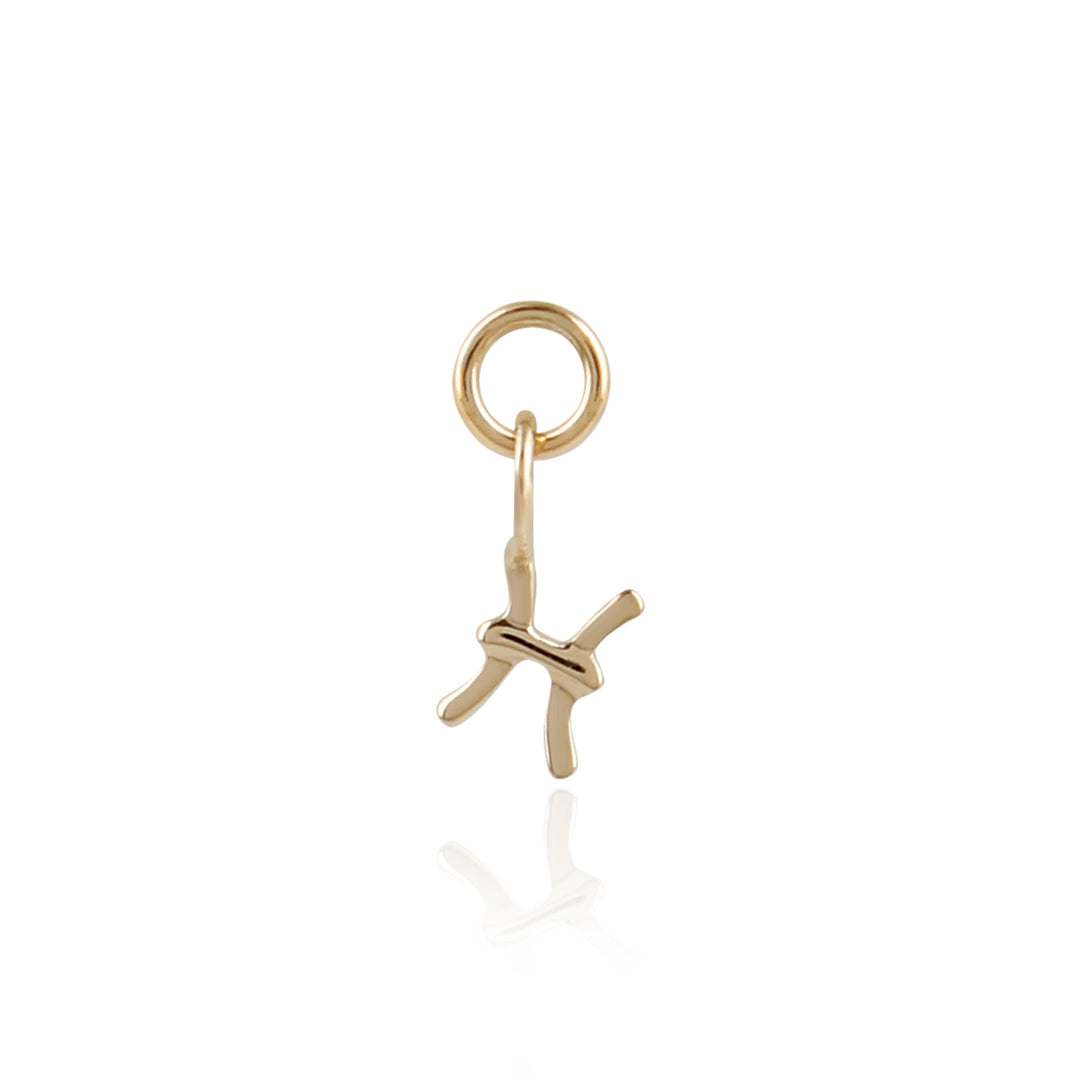 9K Solid Gold Zodiac Sign Charm