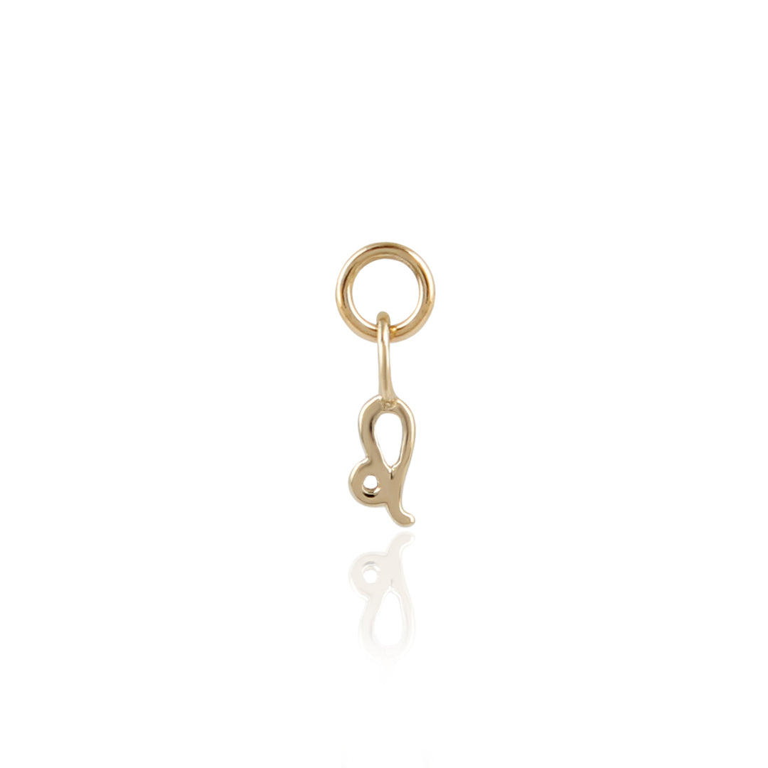 9K Solid Gold Zodiac Sign Charm