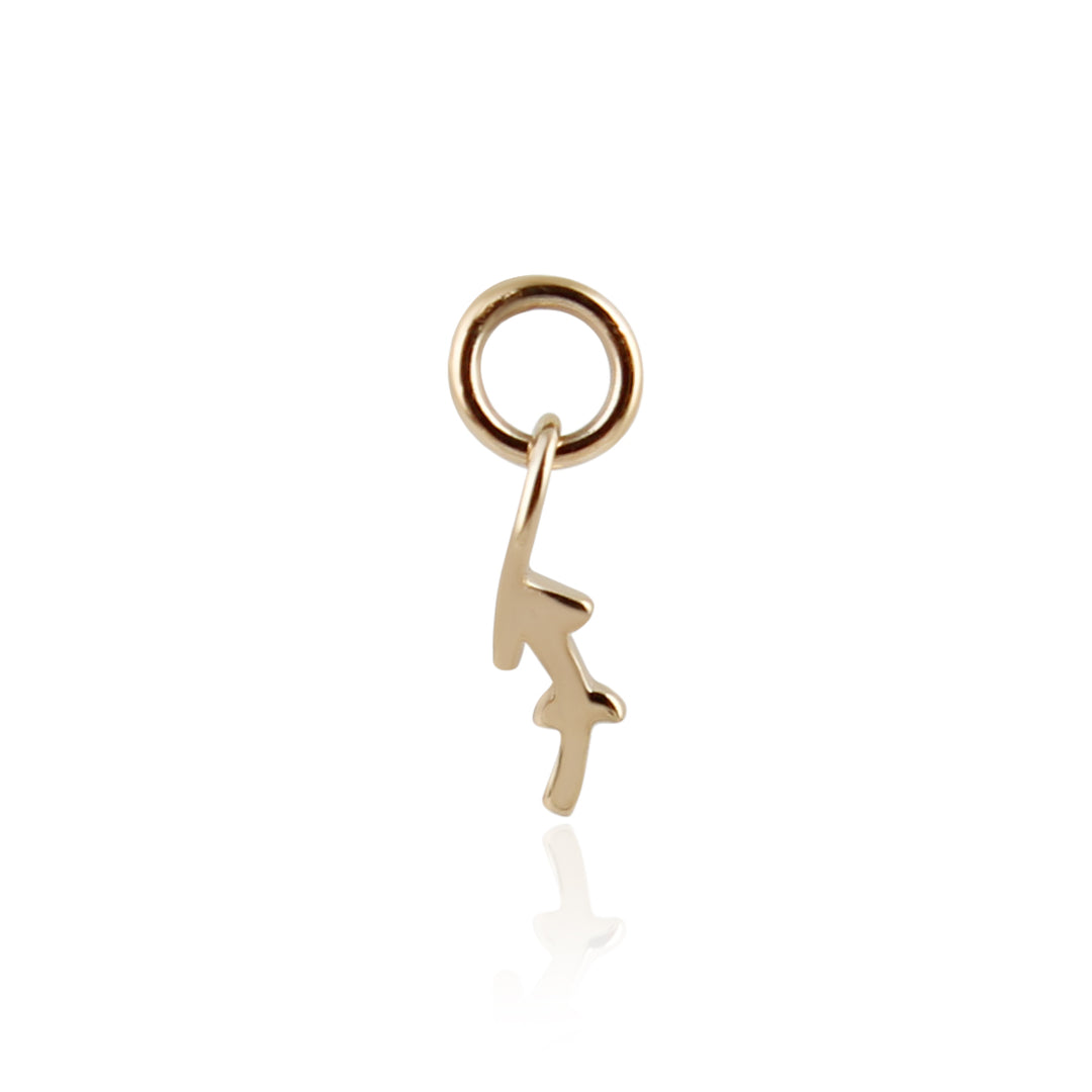 9K Solid Gold Zodiac Sign Charm