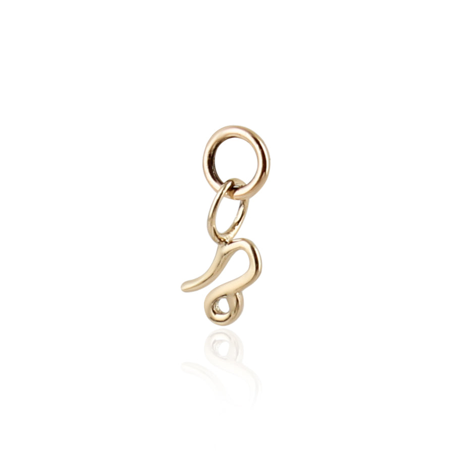 9K Solid Gold Zodiac Sign Charm