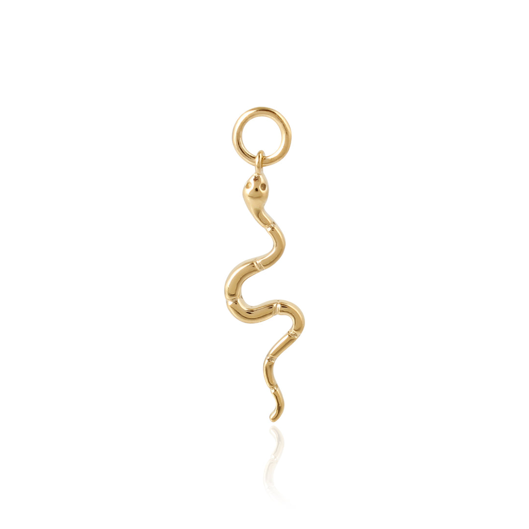 Snake Charm